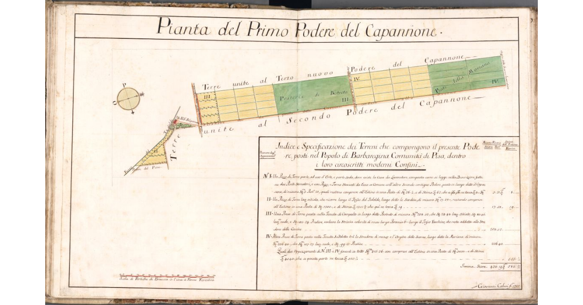 Pianta del Primo Podere del Capannone
