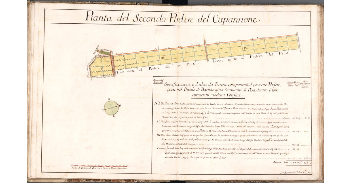 Pianta del Secondo Podere del Capannone