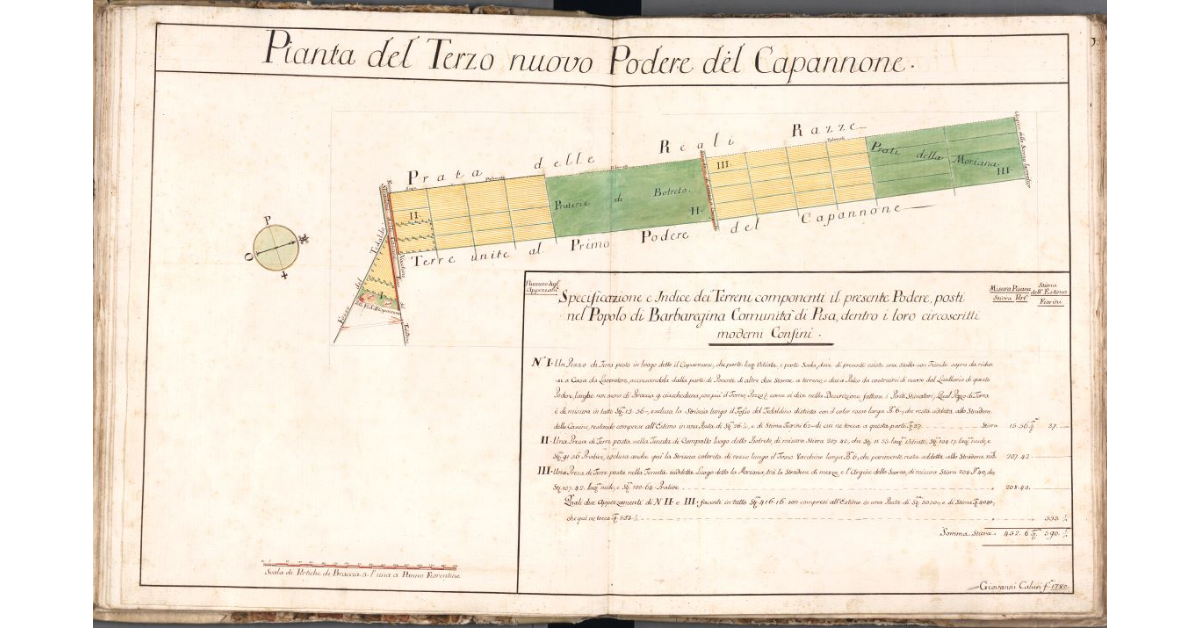 Pianta del Terzo Nuovo Podere del Capannone