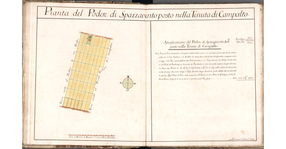 Pianta del Podere di Spazzavento posto nella Tenuta di Campalto