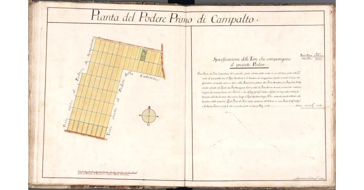 Pianta del Podere Primo di Campalto