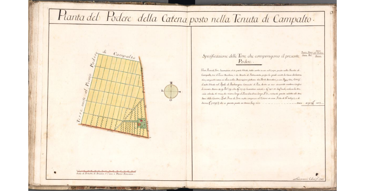 Pianta del Podere della Catena posto nella Tenuta di Campalto