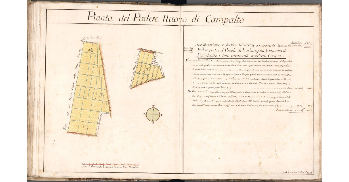 Pianta del Podere Nuovo di Campalto
