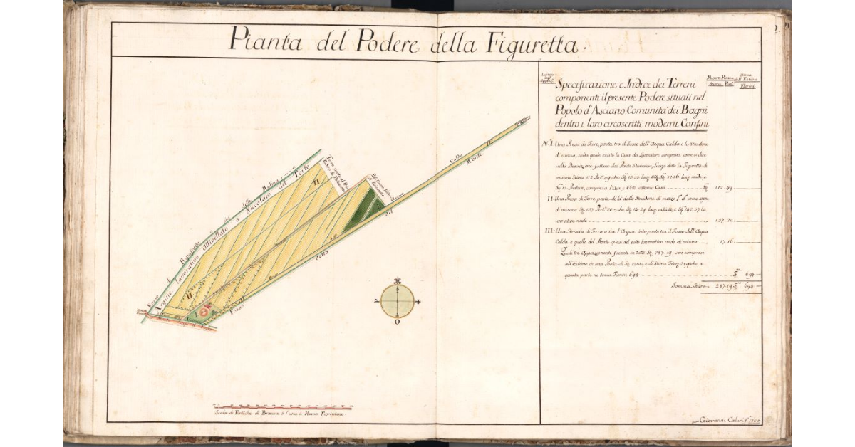 Pianta del Podere della Figuretta