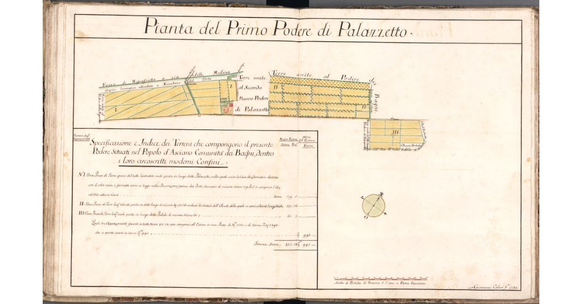 Pianta del Primo Podere di Palazzetto
