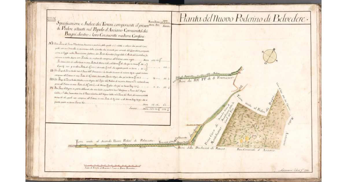 Pianta del Nuovo Poderino di Belvedere