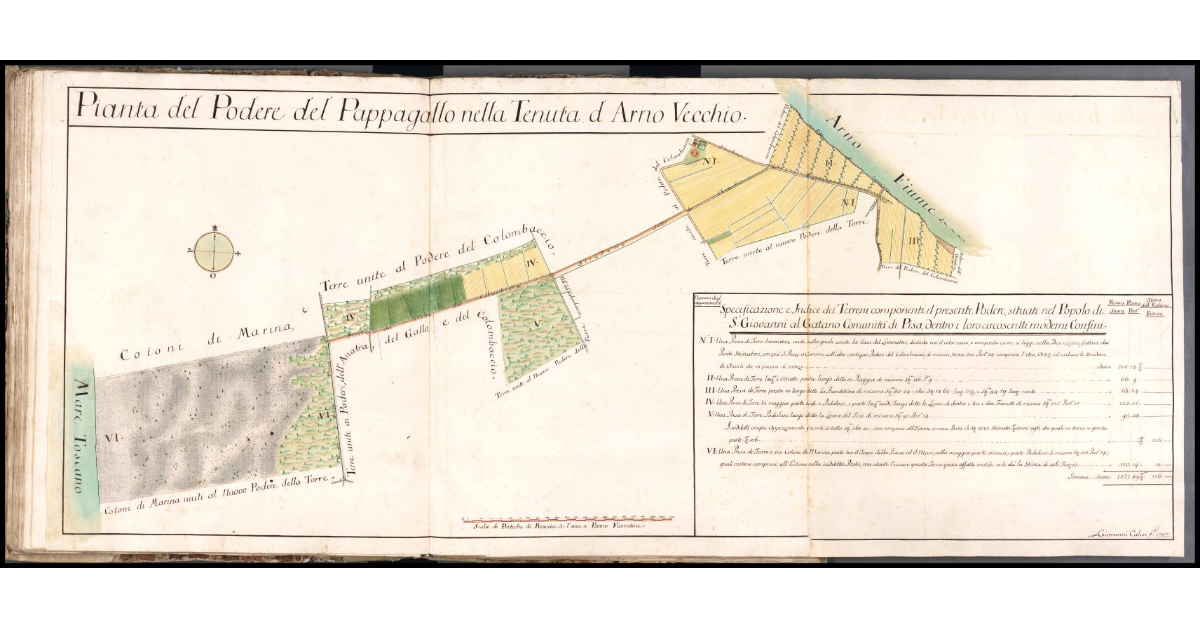Pianta del Podere del Pappagallo nella Tenuta d'Arno Vecchio
