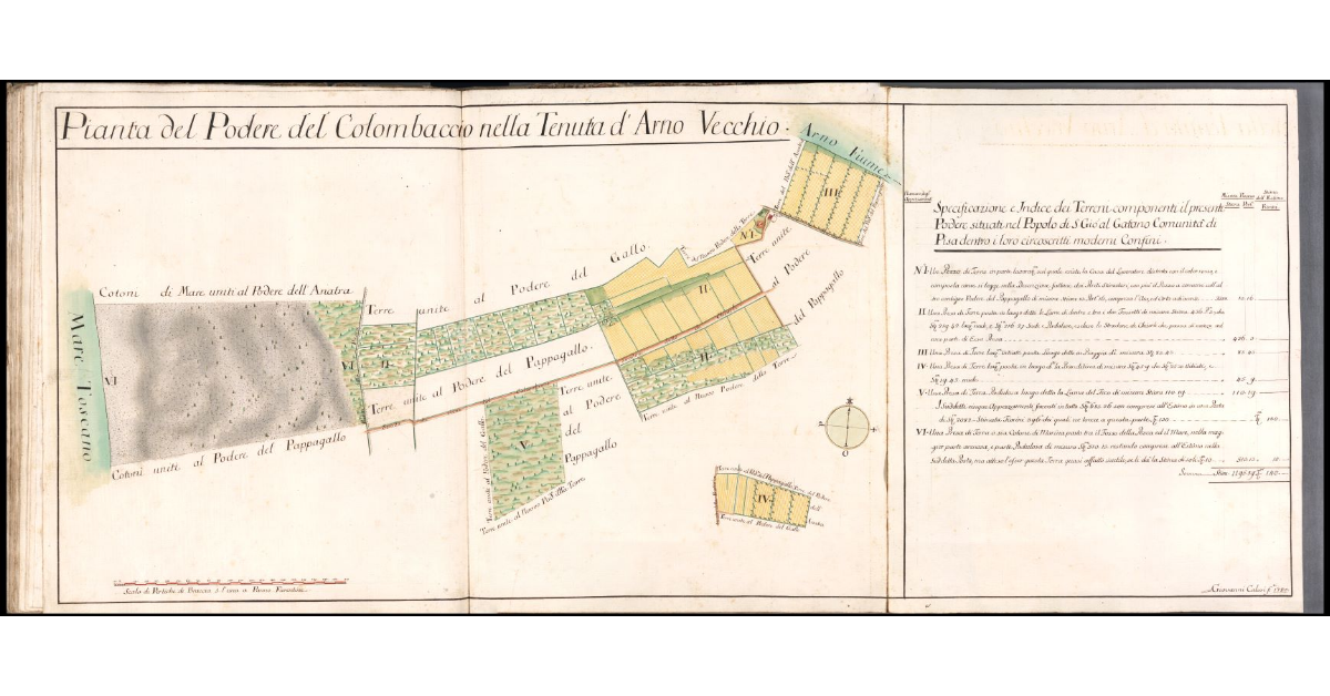 Pianta del Podere del Colombaccio nella Tenuta d'Arno Vecchio