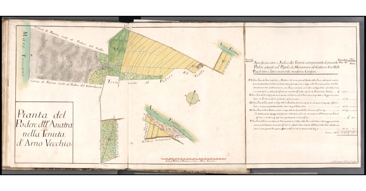 Pianta del Podere dell'Anatra nella Tenuta d'Arno Vecchio