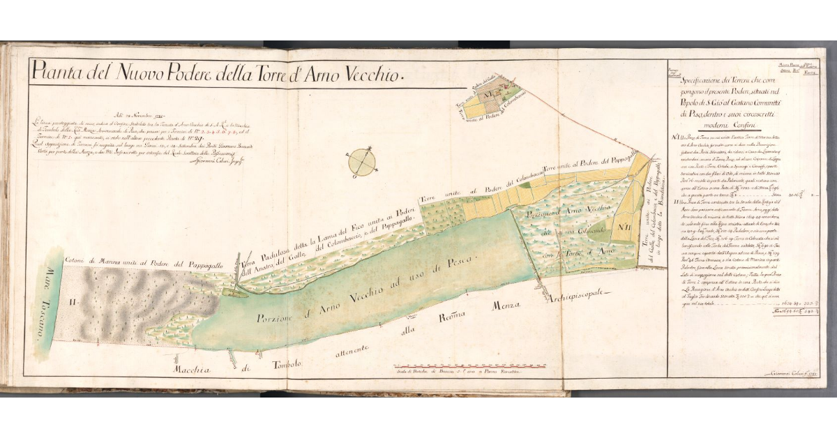 Pianta del Nuovo Podere della Torre d'Arno Vecchio