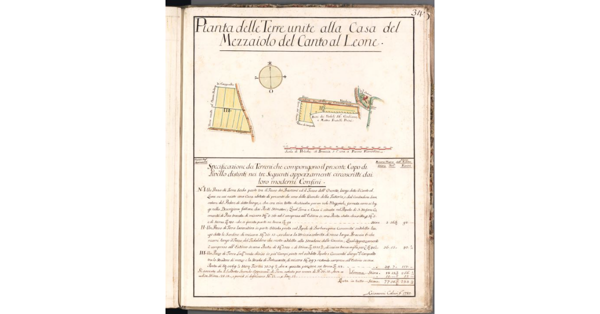 Pianta delle Terre unite alla Casa del Mezzaiolo del Canto al Leone