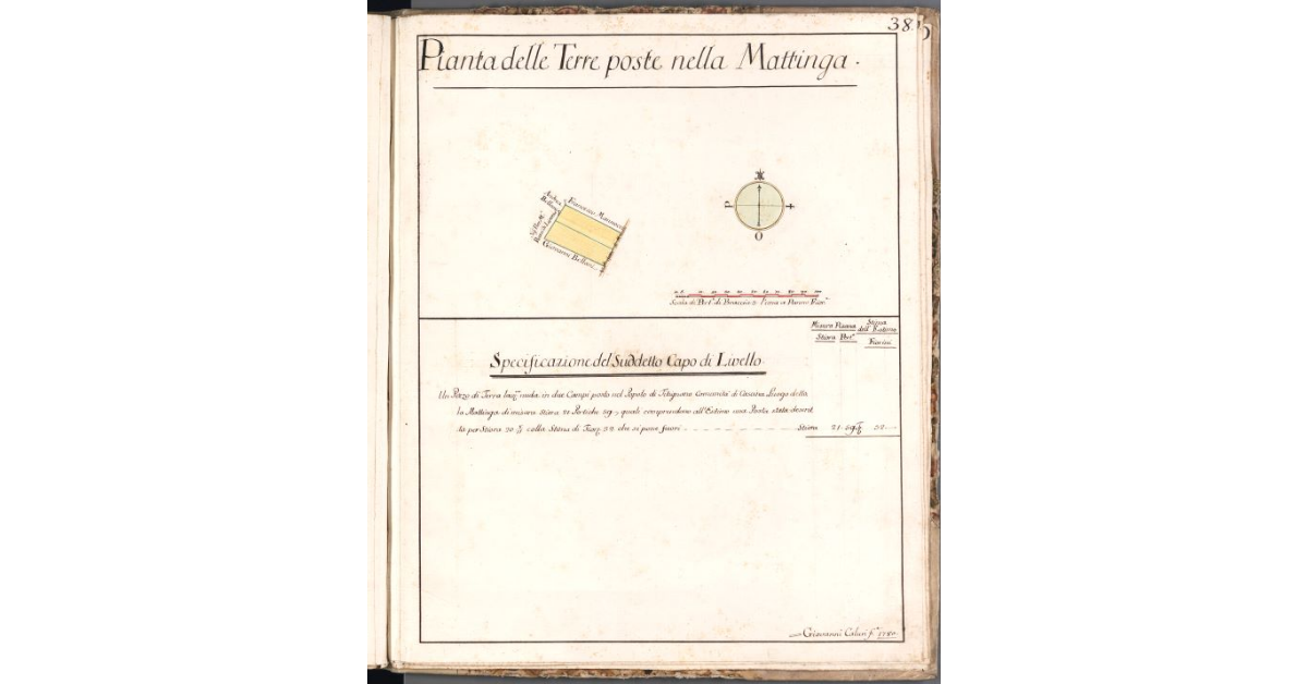 Pianta delle Terre poste nella Mattinga