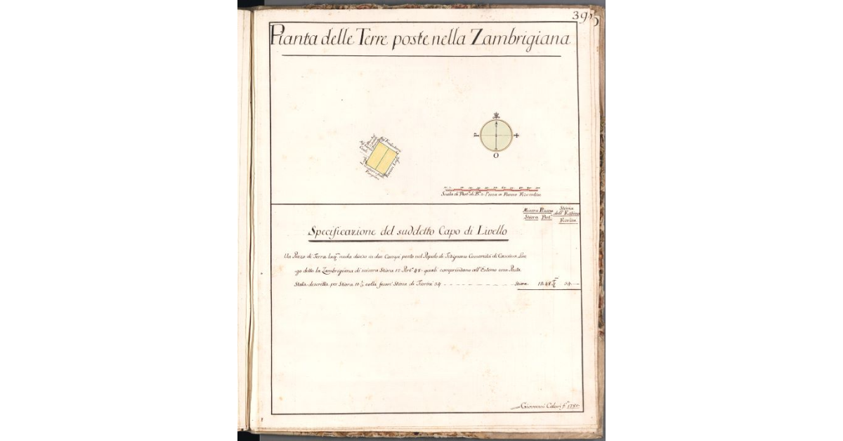 Pianta delle Terre poste nella Zambrigiana