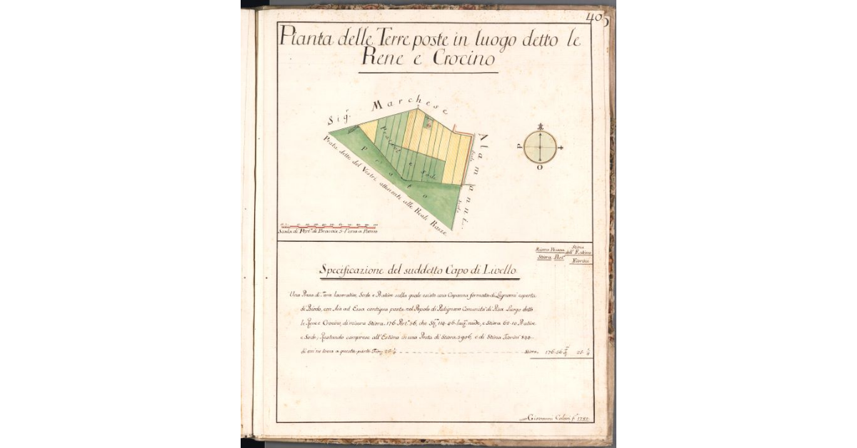 Pianta delle Terre poste in luogo detto le Rene e Crocino