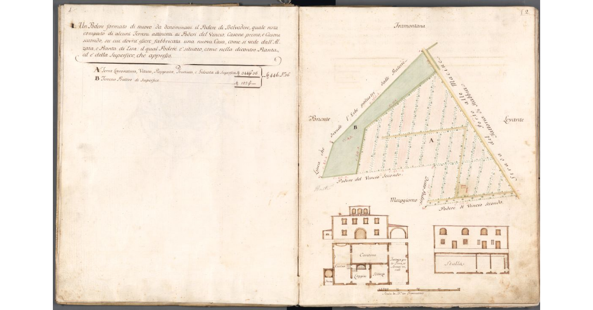 [Pianta del podere di Belvedere]