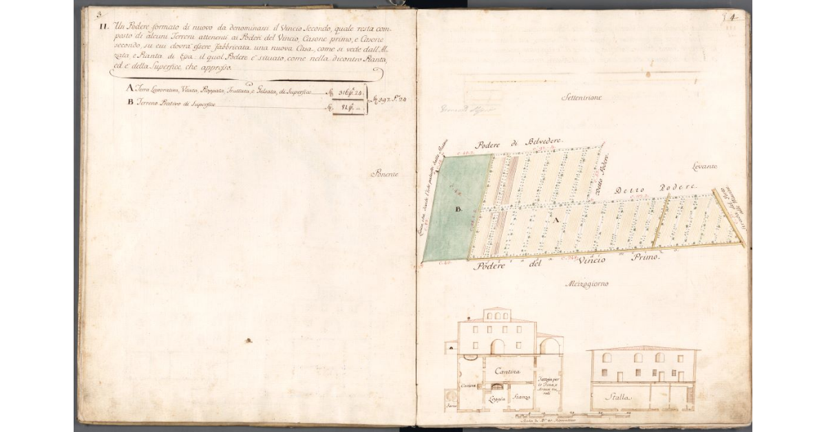 [Podere di Vincio Secondo]
