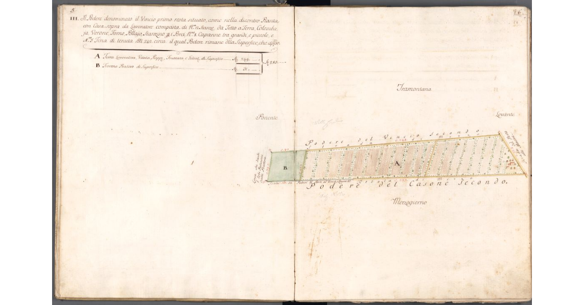 [Pianta del podere di Vincio Primo]