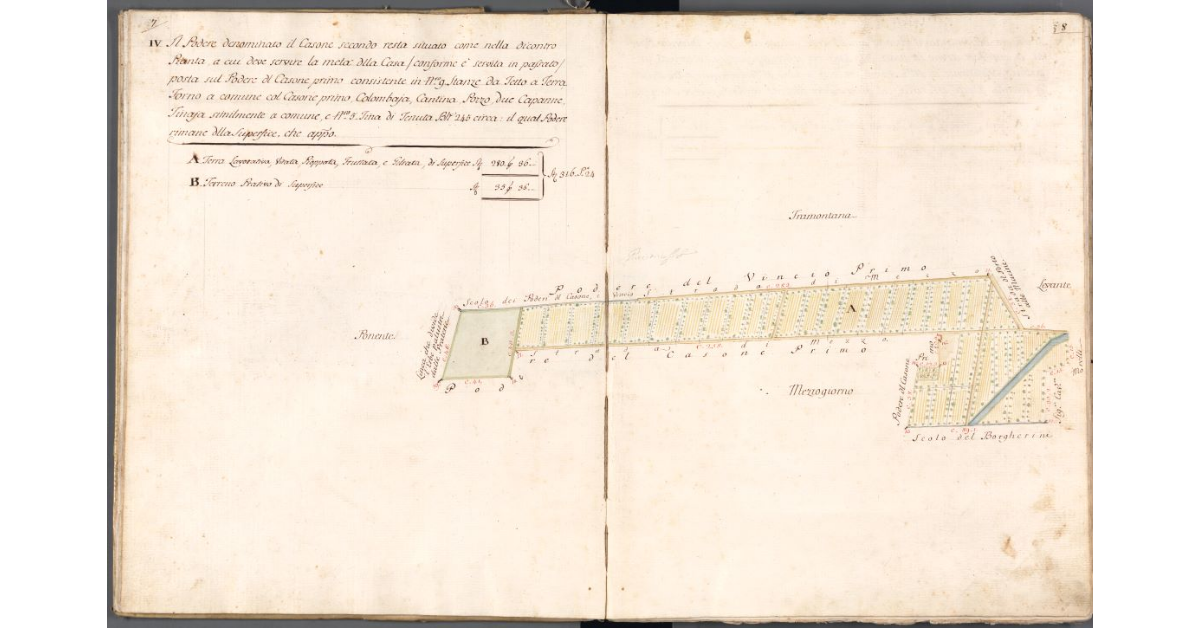 [Pianta del podere di Casone Secondo]