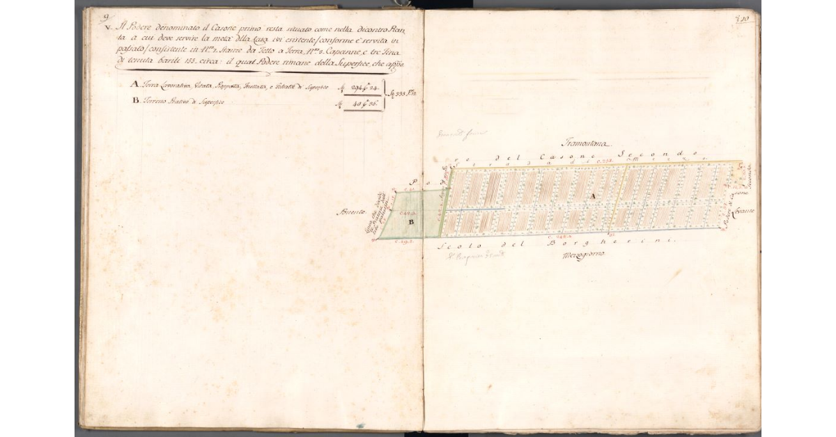 [Pianta del podere di Casone Primo]