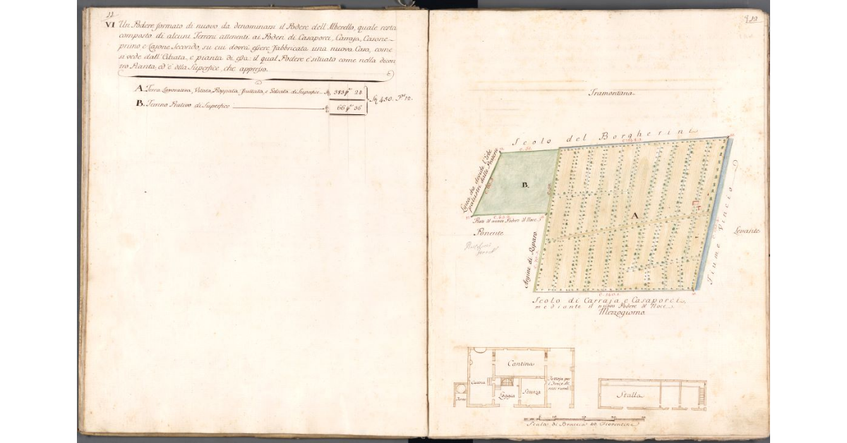 [Pianta del podere dell'Alberello]