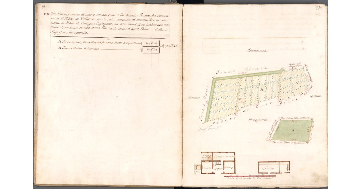 [Pianta del podere di Vallicava]