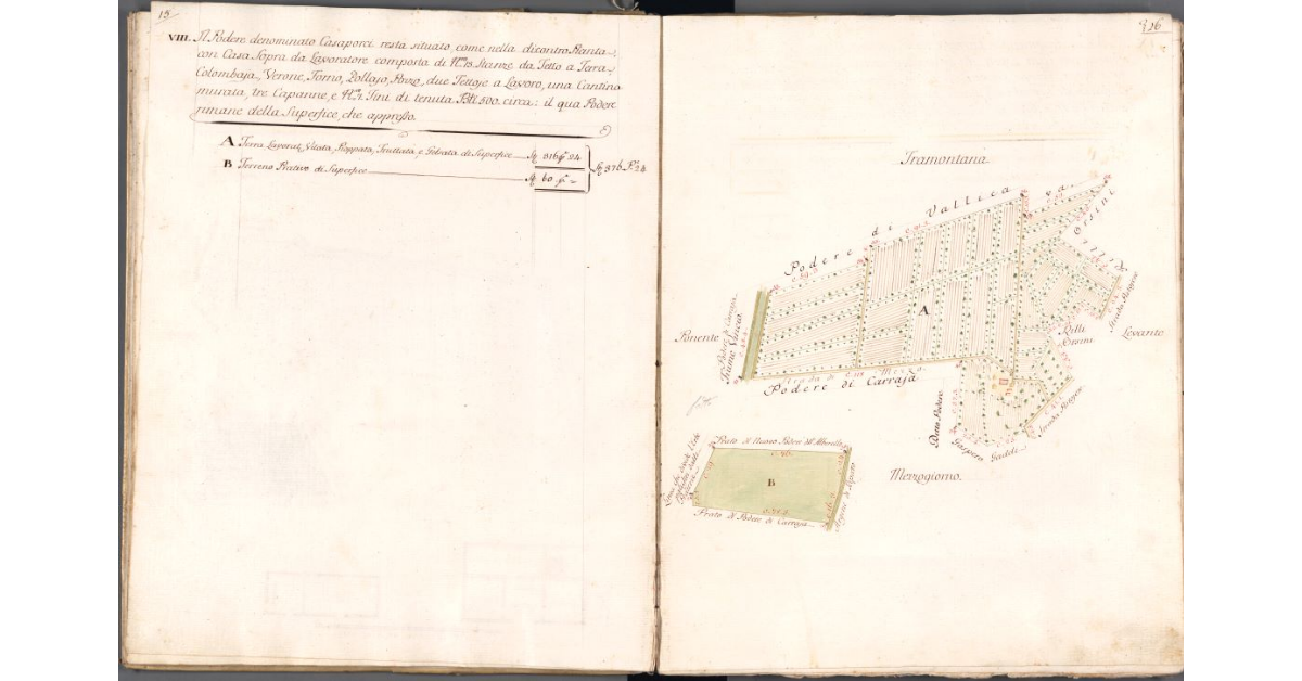 [Pianta del Podere di Casaporci]