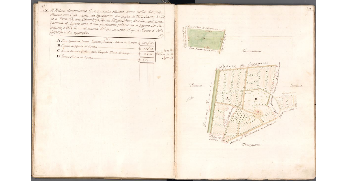 [Pianta del Podere di Carraja]