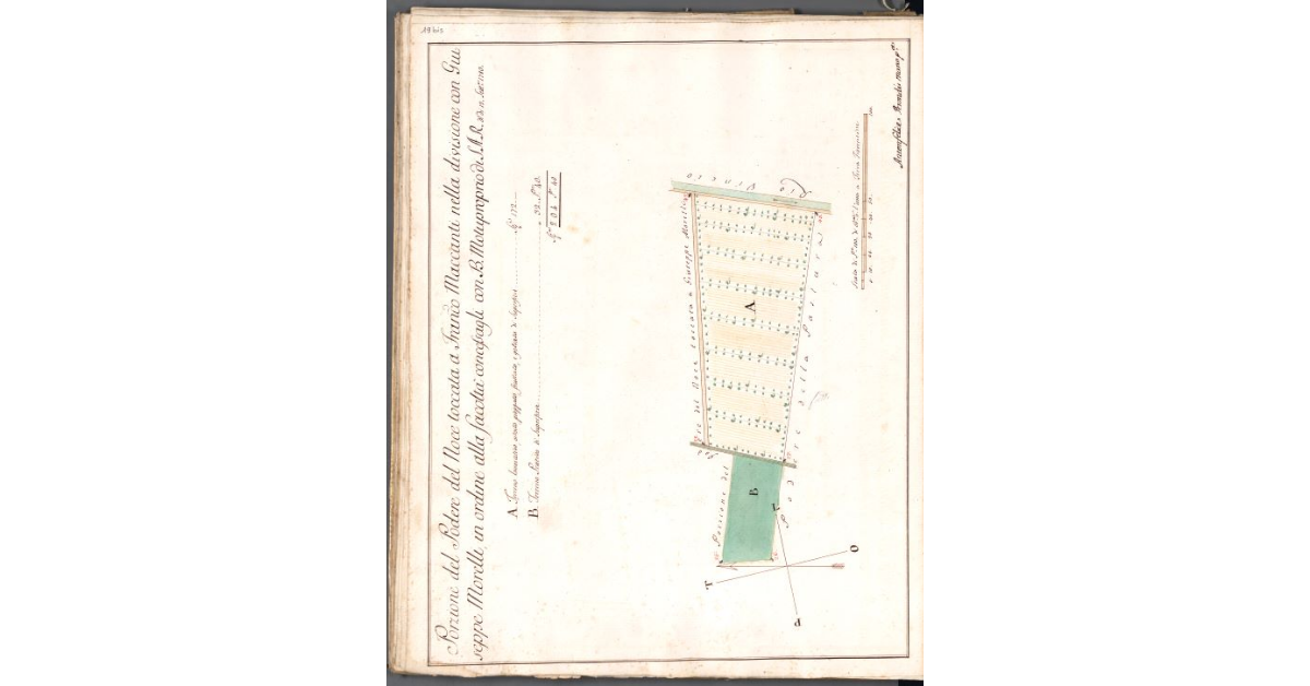 Porzione del Podere del Noce toccata a Franco Maccanti nella divisione con Giuseppe Morelli, in ordine alla facoltà concessagli con B. Motuproprio di S. A. R. al dì 12 settembre 1780