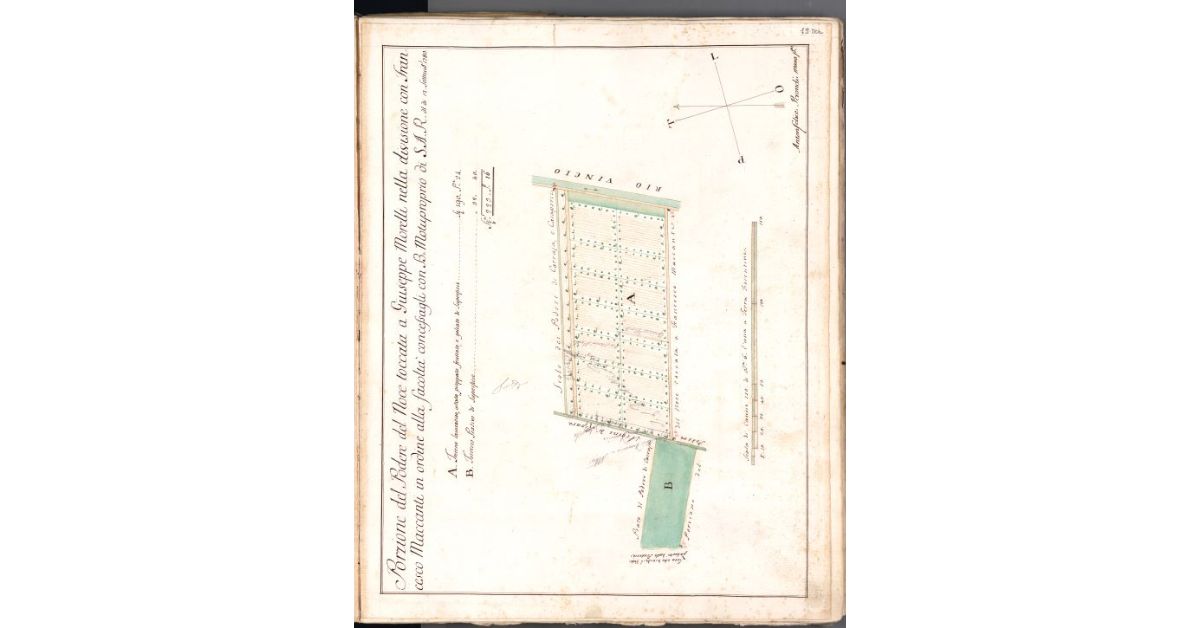 Porzione del Podere del Noce toccata a Giuseppe Morelli nella divisione con Francesco Maccanti in ordine alla facoltà concessagli con B. Motuproprio di S. A. R. al dì 12 settembre 1780