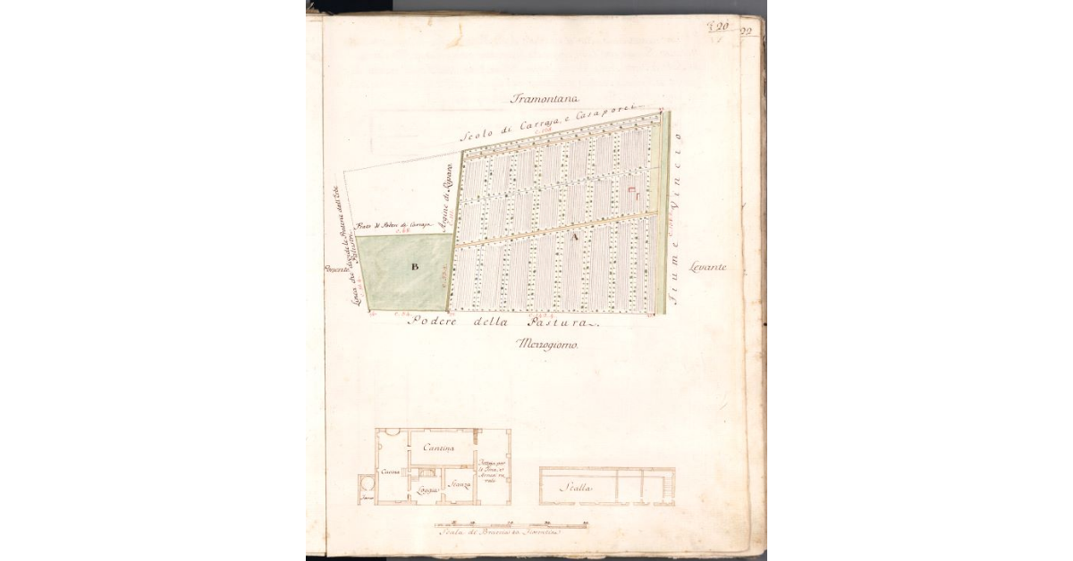 [Pianta del podere del Noce]