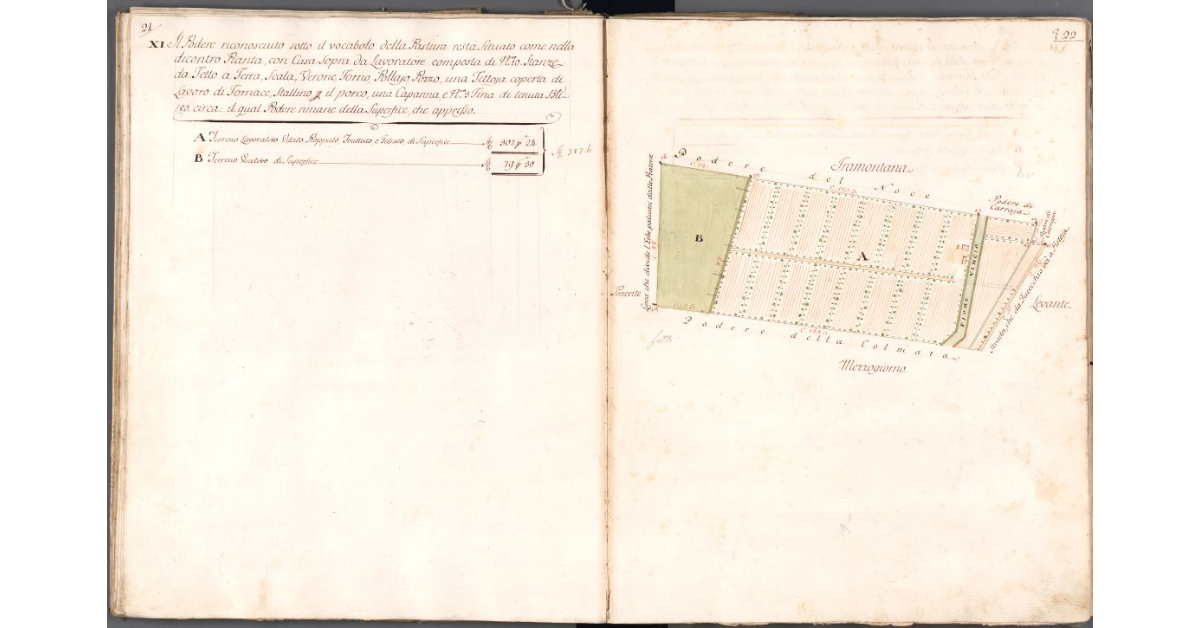 [Pianta del podere della Pastura]