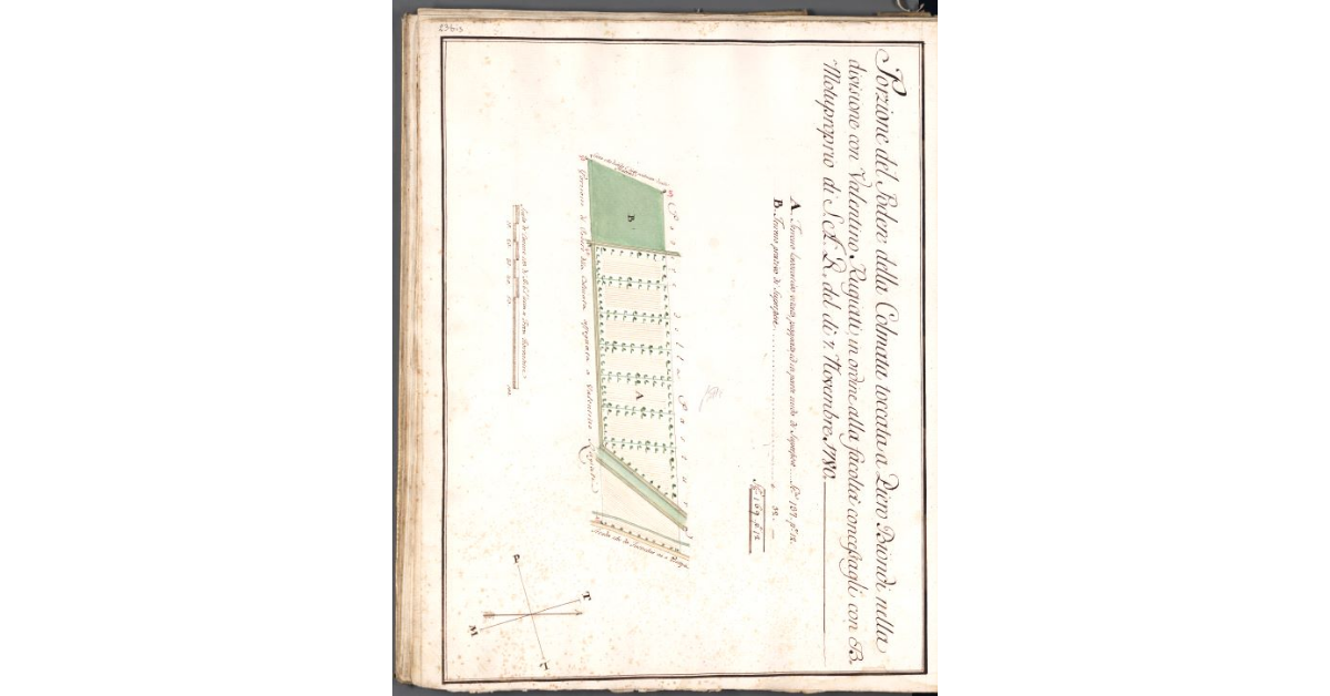 Porzione del Podere della Colmata toccata a Piero Biondi nella divisione con Valentino Rugiati, in ordine alla facoltà concessagli con B. Motuprorio di S.A.R. del dì 7 Novembre 1780