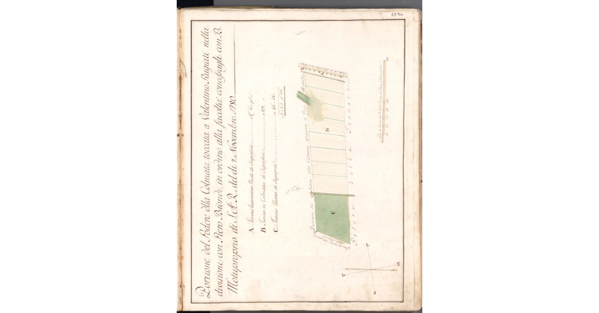 Porzione del Podere della Colmata toccata a Valentino Rugiati nella divisione con Piero Biondi, in ordine alla facoltà concessagli con B. Motuproprio di S.A.R. del dì 7 novembre 1780