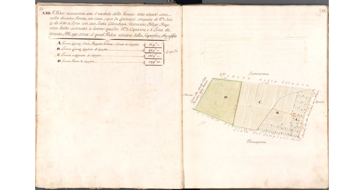 [Pianta del Podere della Fornace]