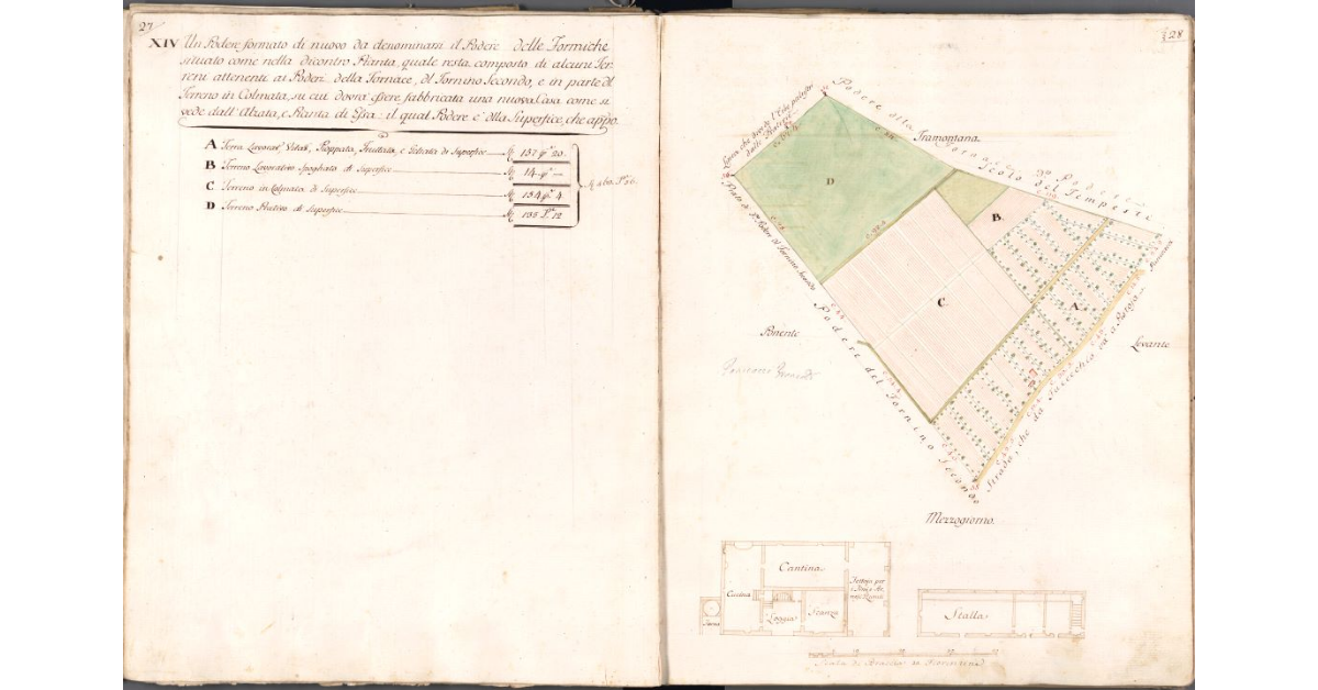 [Pianta del Podere delle Formiche]