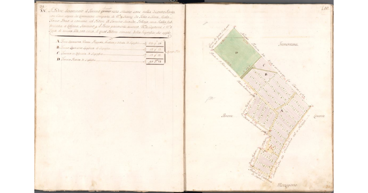 [Pianta del Podere Fornino secondo]