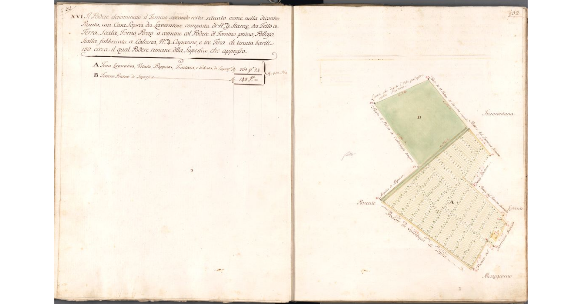 [Pianta del Podere Fornino primo]