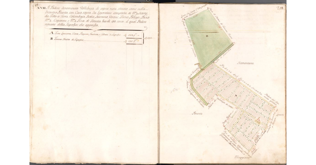 [Pianta del Podere di Vallebuia di sopra]