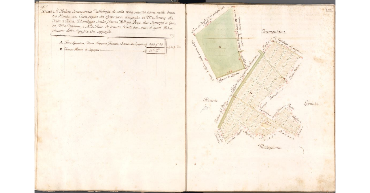 [Podere di Vallebuia di sotto]