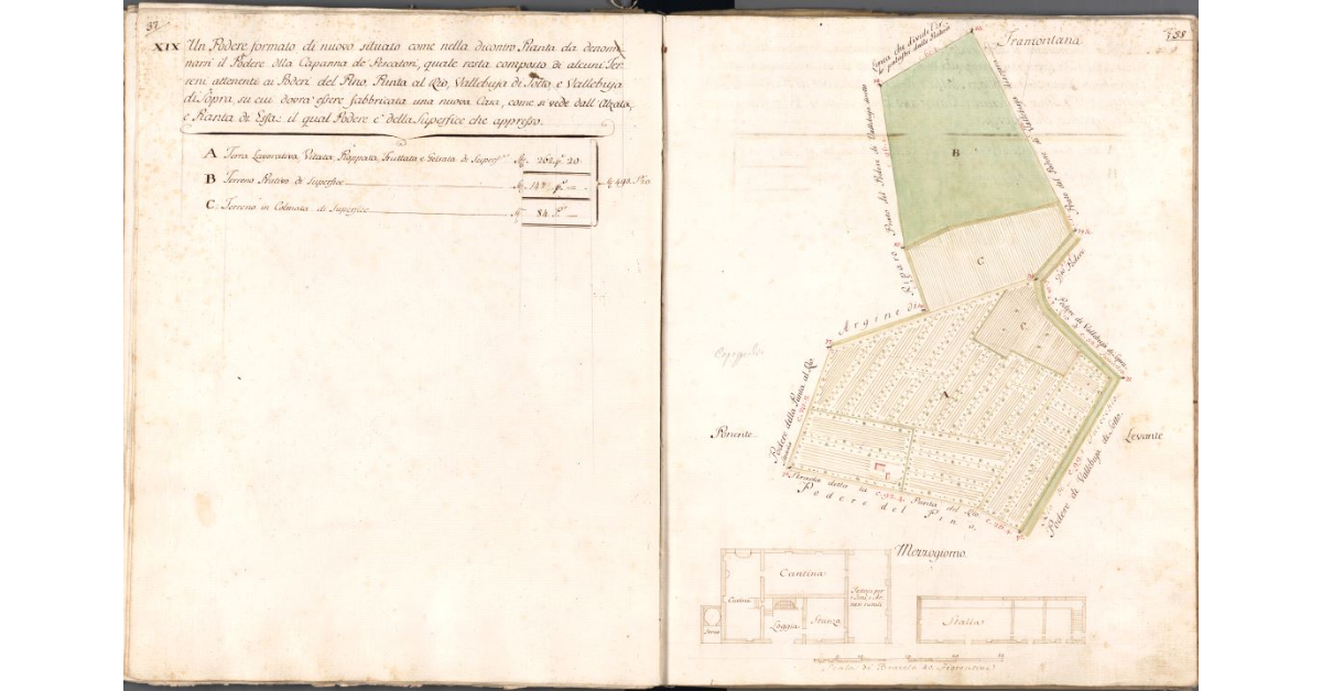 [Pianta del Podere della Capanna de' Pescatori]