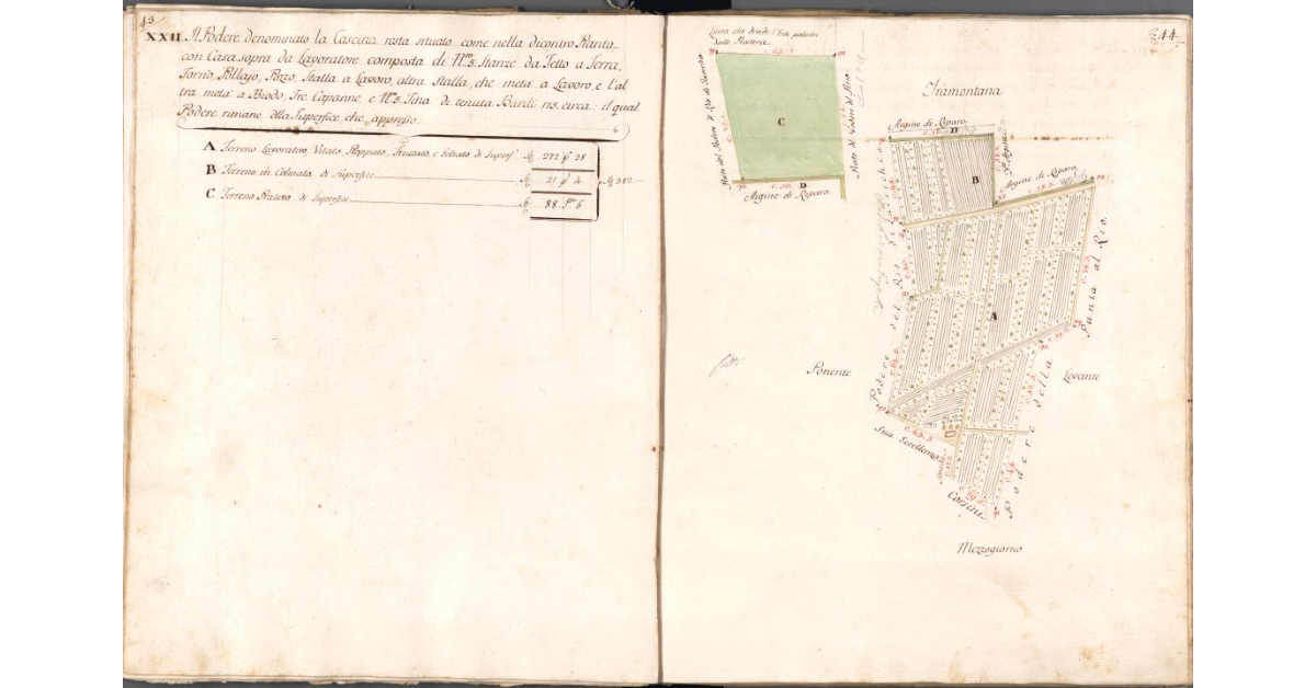 [Pianta del podere della Cascina]