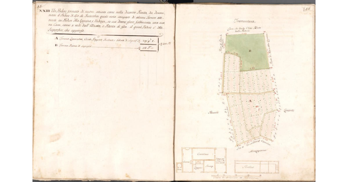 [Pianta del podere del Rio di Fucecchio]