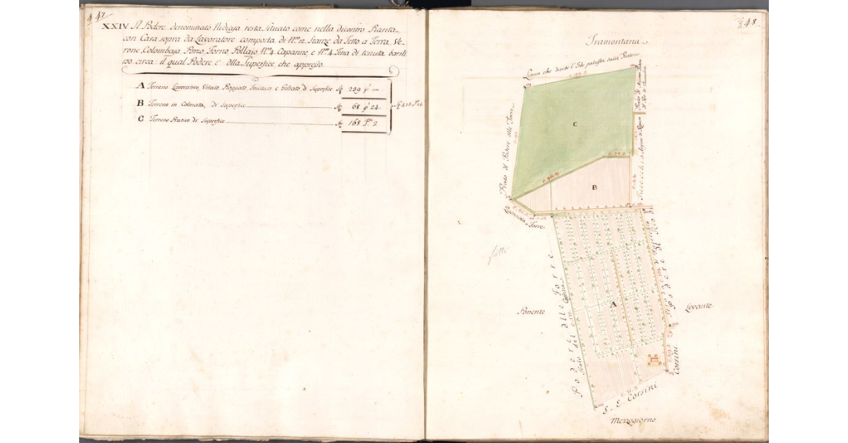 [Pianta del podere Nidiaja]