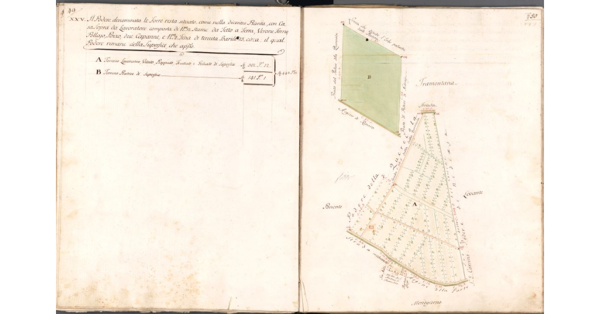 [Pianta del podere delle Forre]