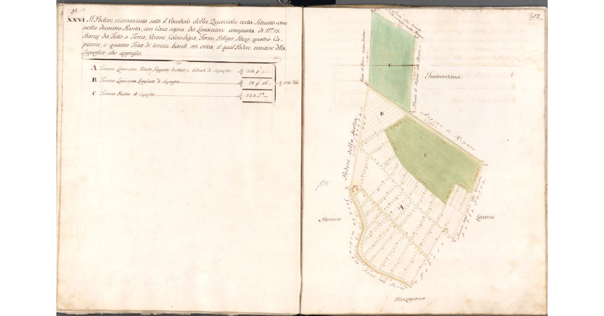 [Pianta del podere della Querciola]