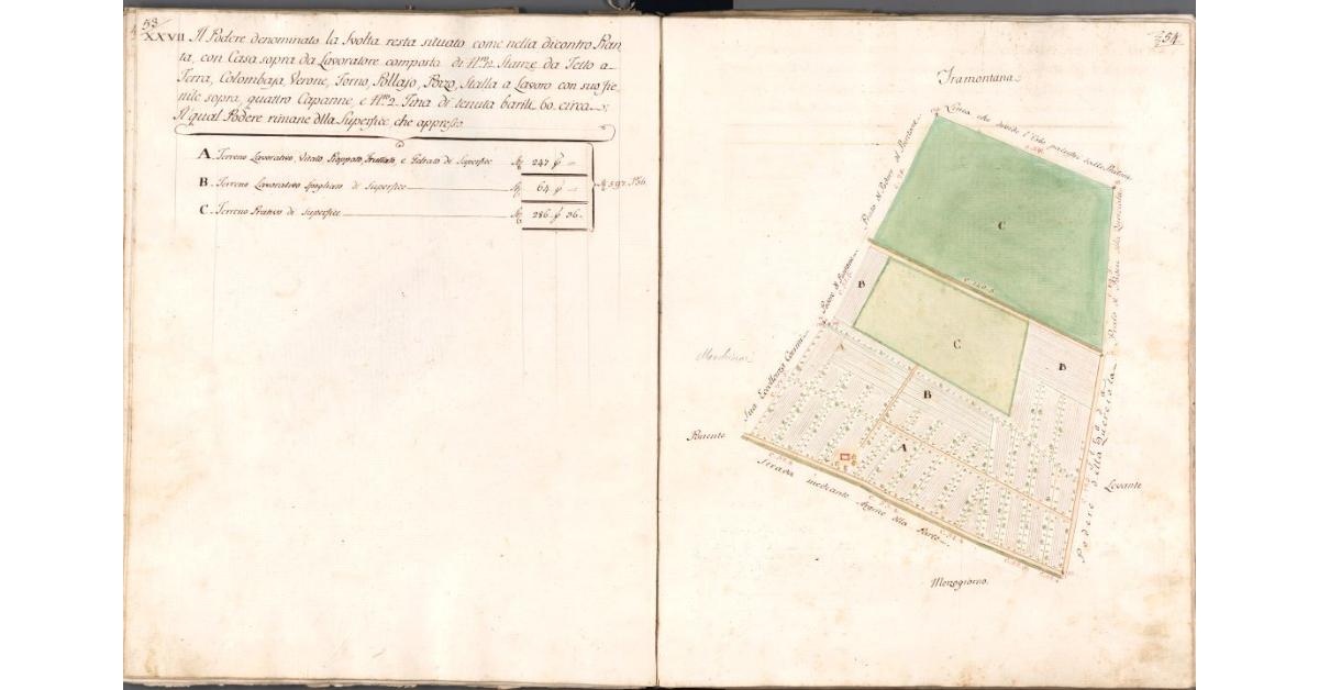 [Pianta del podere la Svolta]