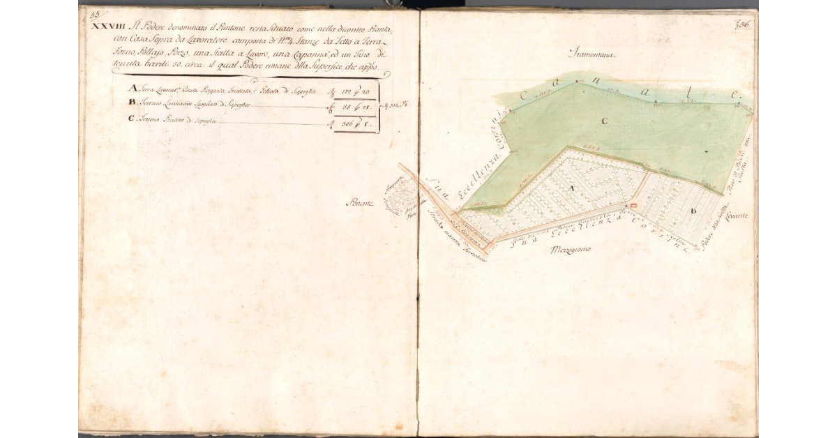 [Pianta del podere il Puntone]