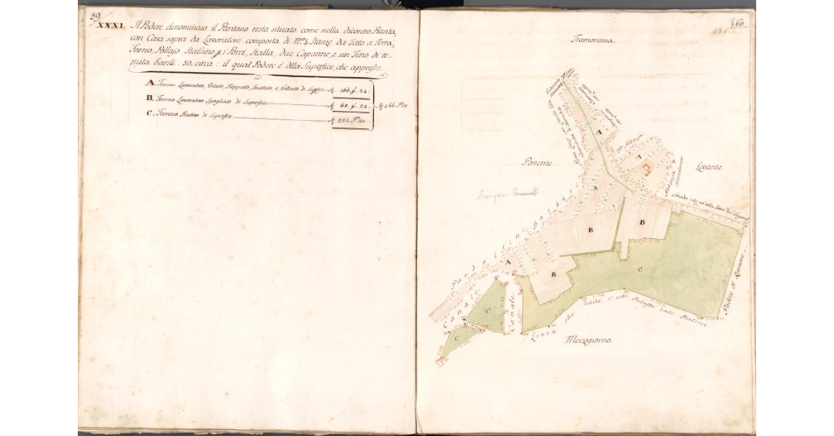 [Pianta del podere denominato il Pantano]