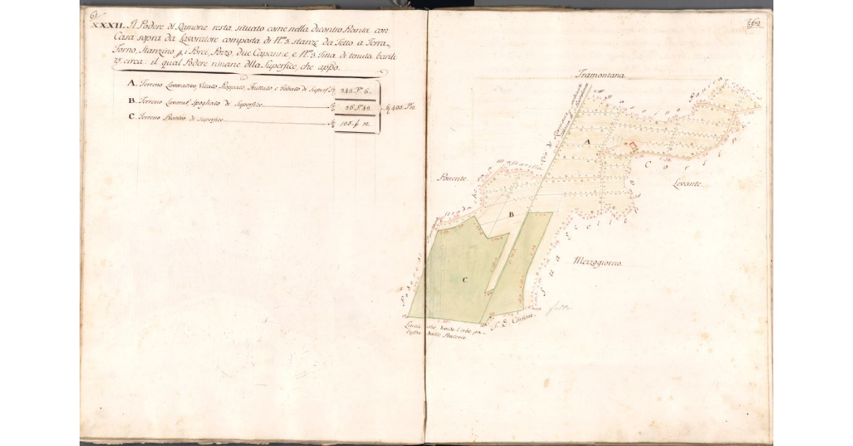 [Pianta del podere del Ramone]