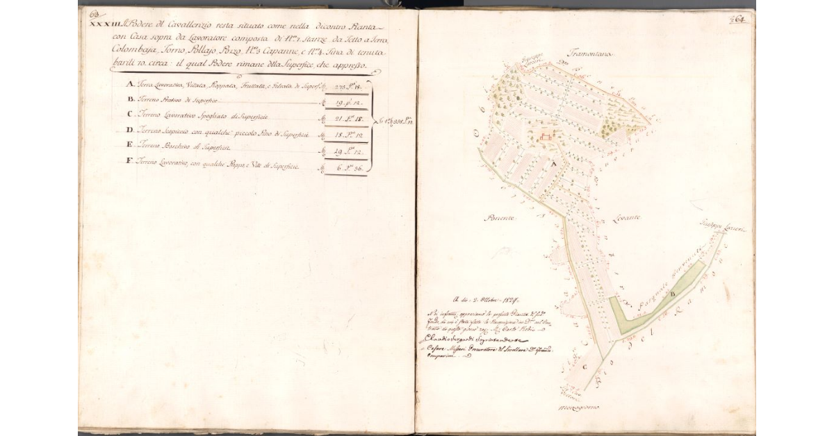 [Pianta del podere del Cavallerizio]